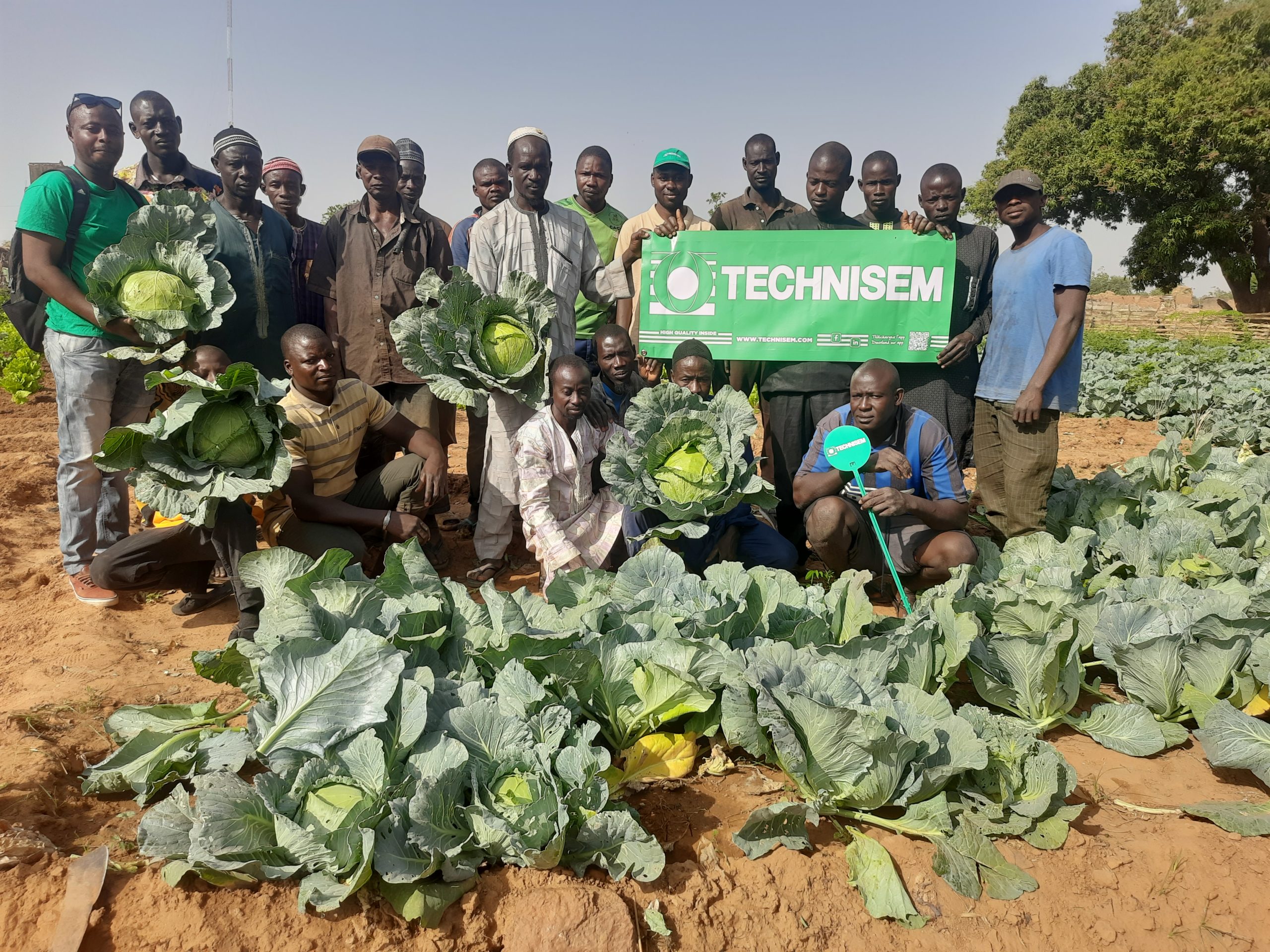 Témoignage clients au Niger : CHOU GREEN VELVET