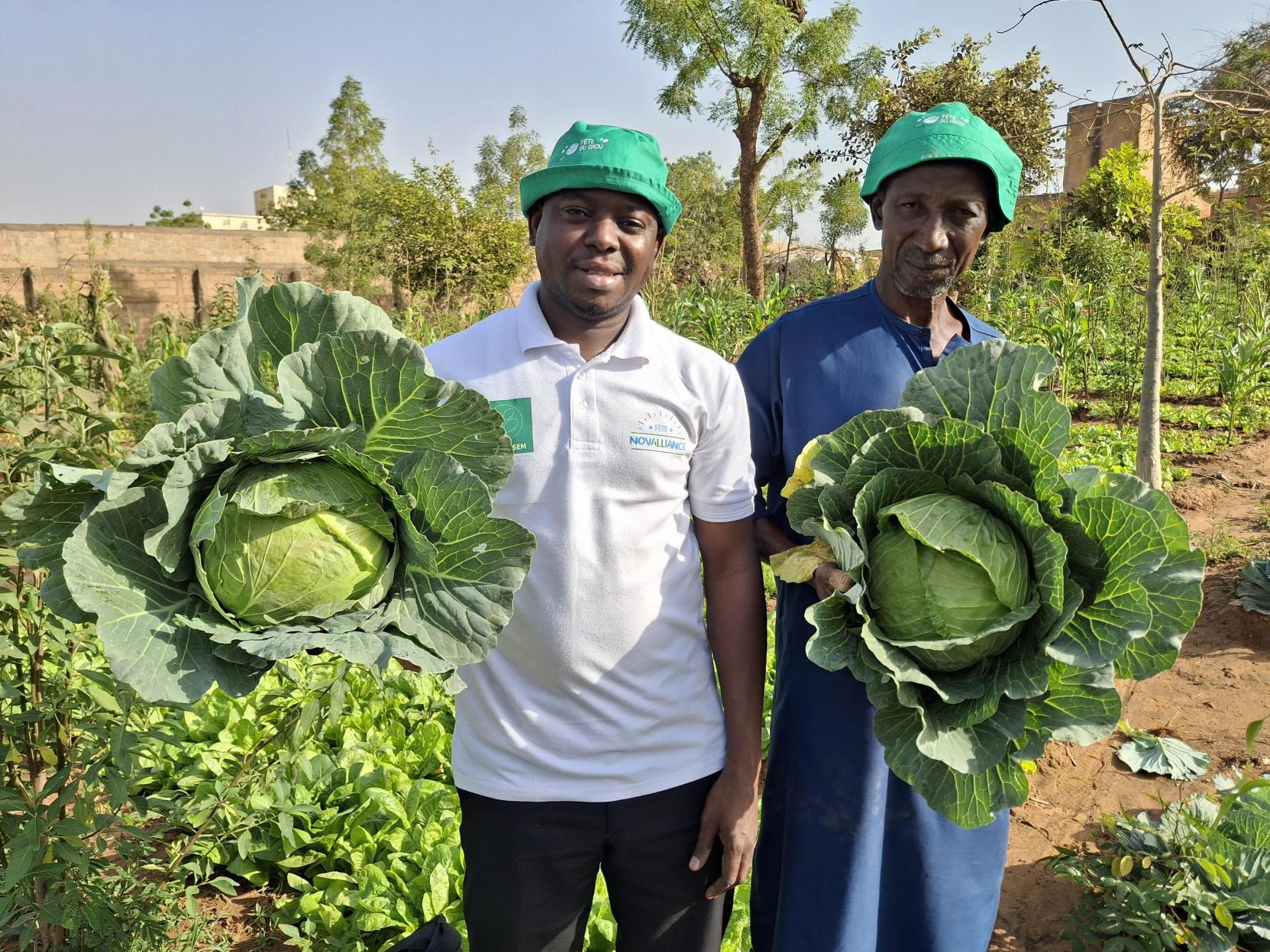 Visite commentée au Niger : CHOU BIG BALL